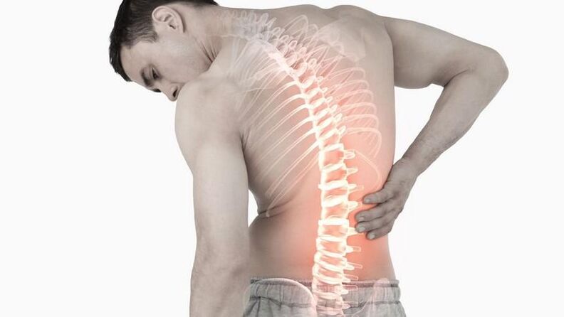 Causes of back pain in the lower back of the back